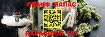 прущие грибы Малоярославец