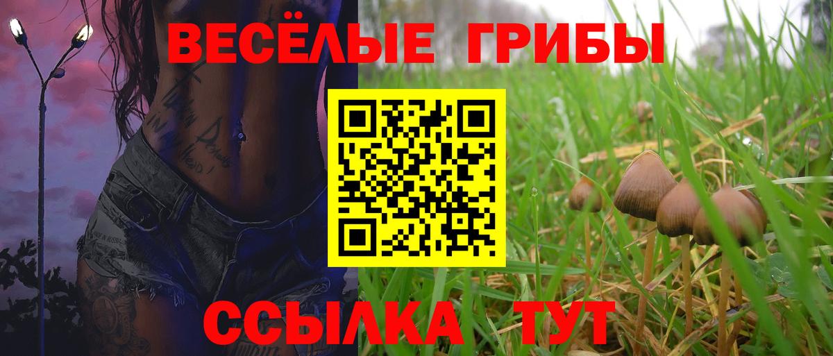 Галлюциногенные грибы прущие грибы  Вход с VPN  Псилоцибиновые грибы ЛСД  Гатчина 