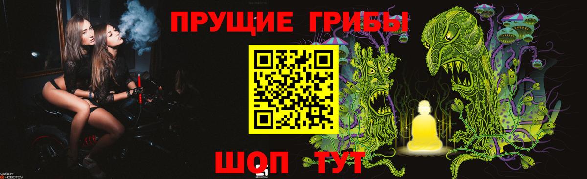 Псилоцибиновые грибы MAGIC MUSHROOMS Гатчина